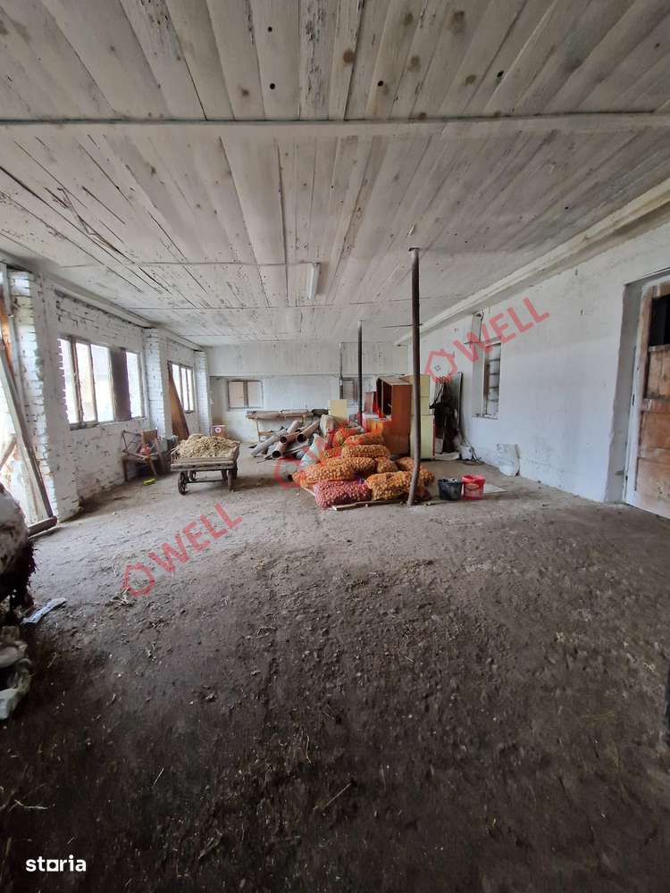 De vânzare fermă în Baraolt - Imagine principală: 5/14