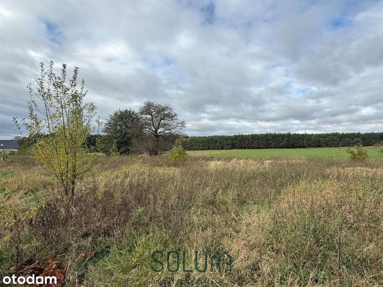 Działka Budowlana 1086M2 Wz Nowa Wieś K/Dąbcza! - Pełny obrazek: 4/4