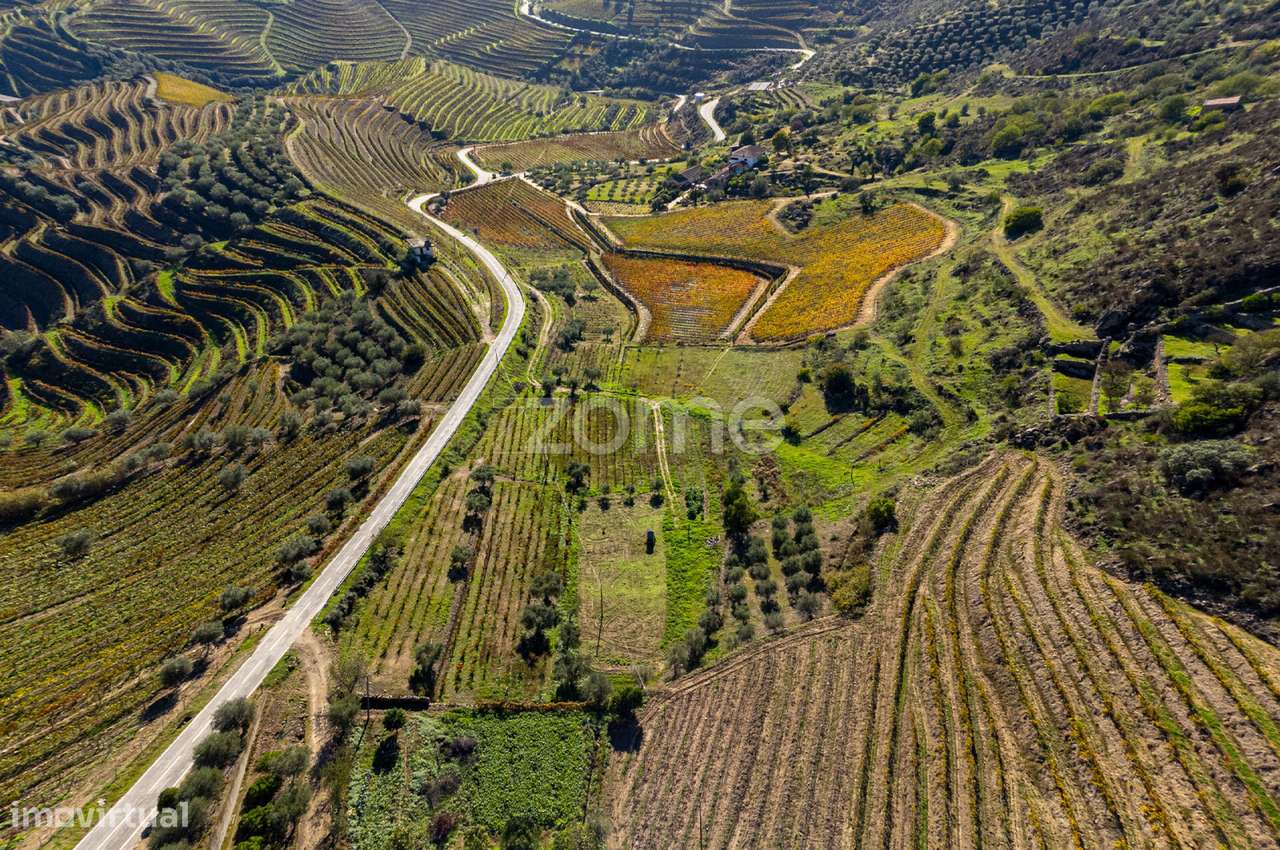 Quinta Seixo de Ansiães - Grande imagem: 2/54