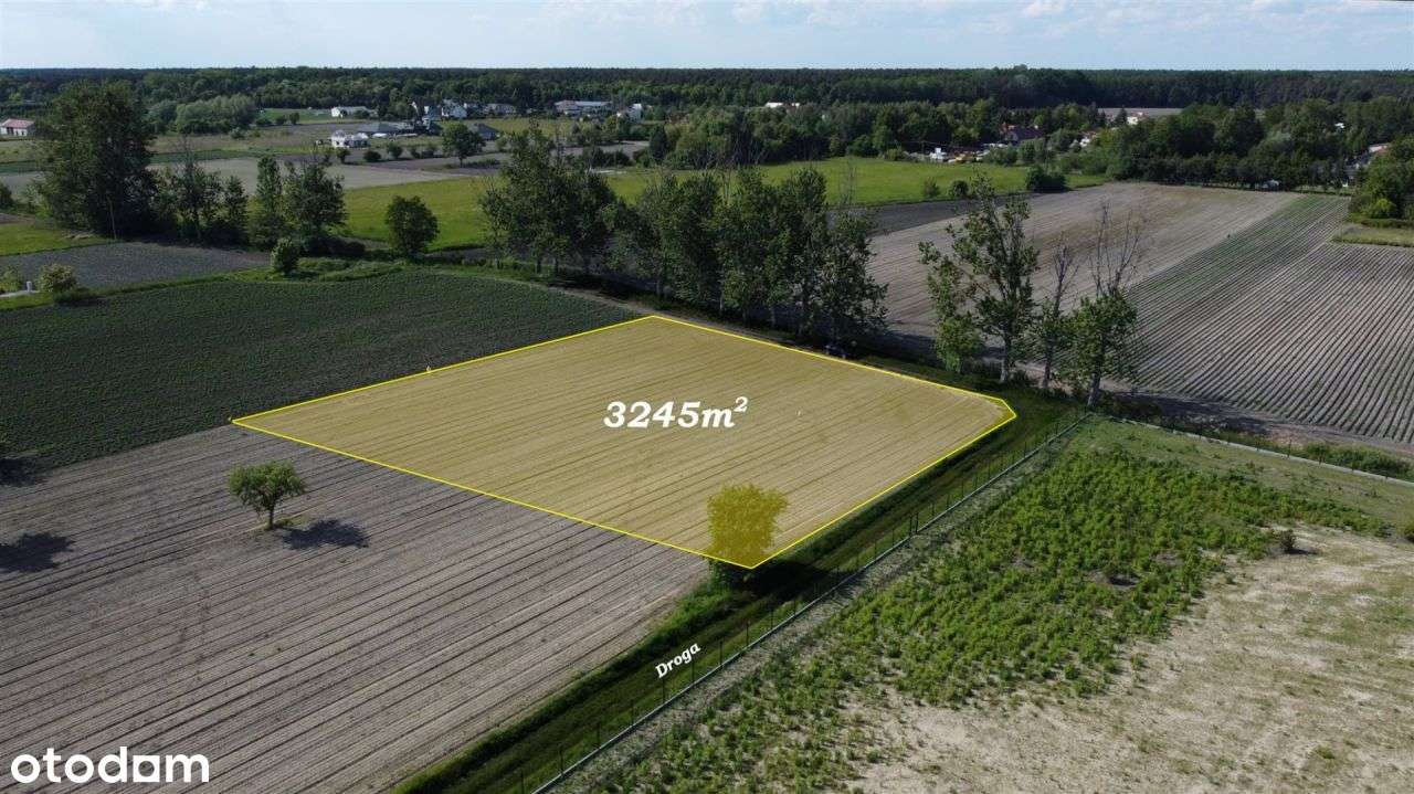 3245 m2 swobody życia - cisza , zieleń , potencjał - Pełny obrazek: 3/12