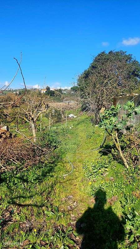 Terreno  para venda-35