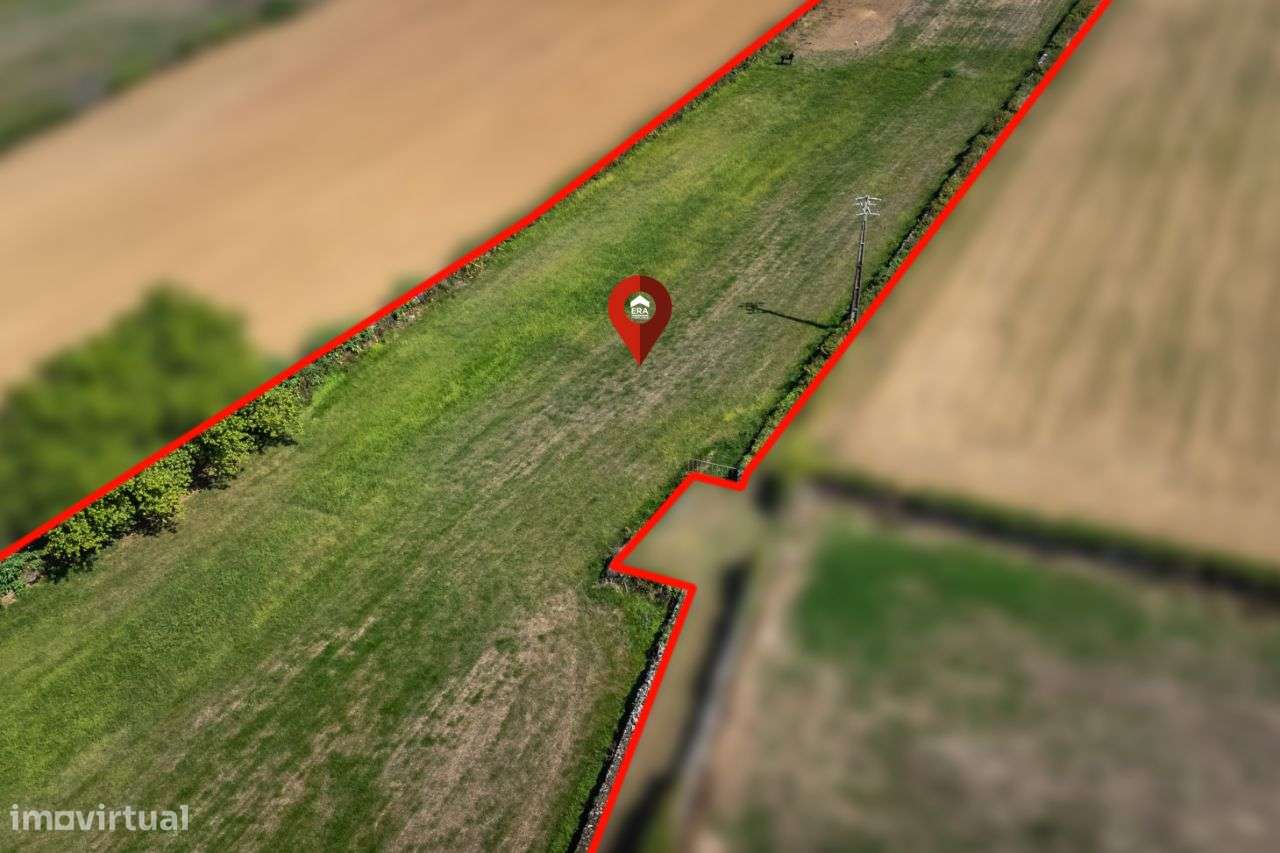 Terreno Rústico RIbeira Grande - Grande imagem: 2/4