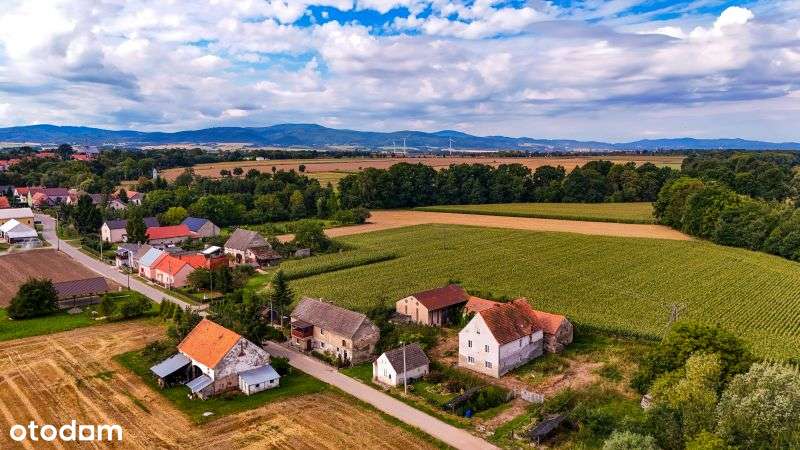 Siedlisko na sprzedaż, Stary Paczków gm. Paczków - Pełny obrazek: 5/14