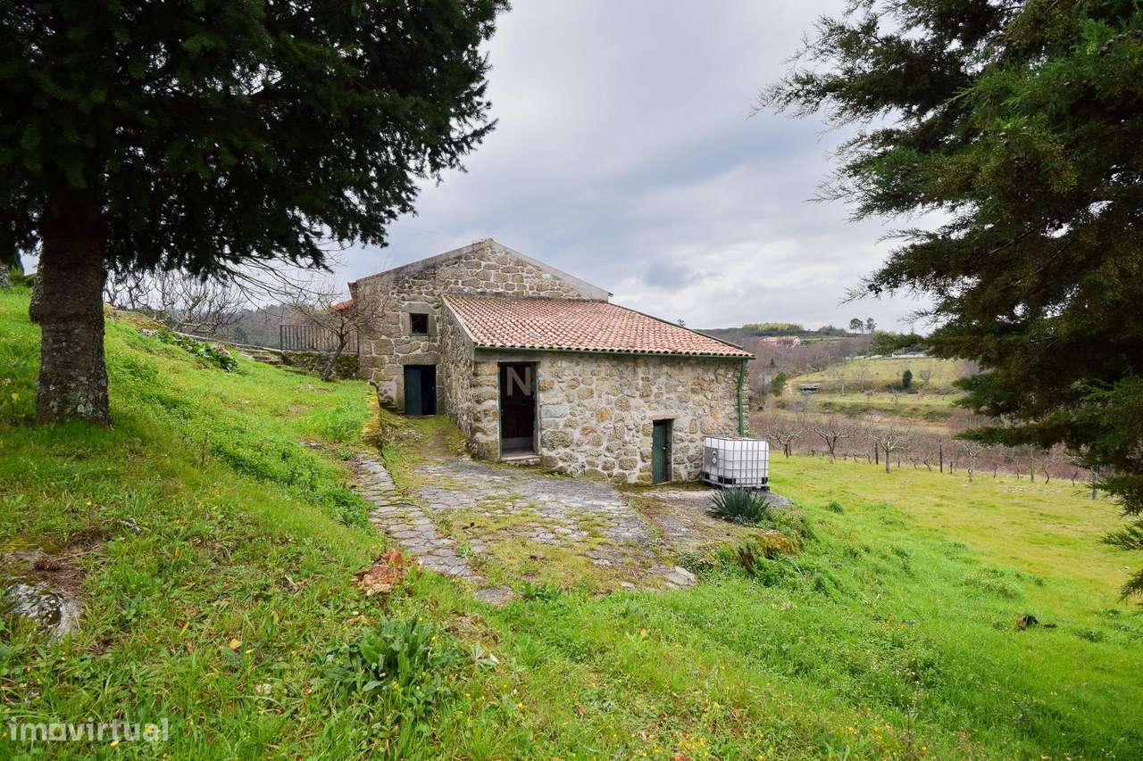 Quinta com construção em Pedra 20.000 m2 de terreno e Licença de Aloja-5
