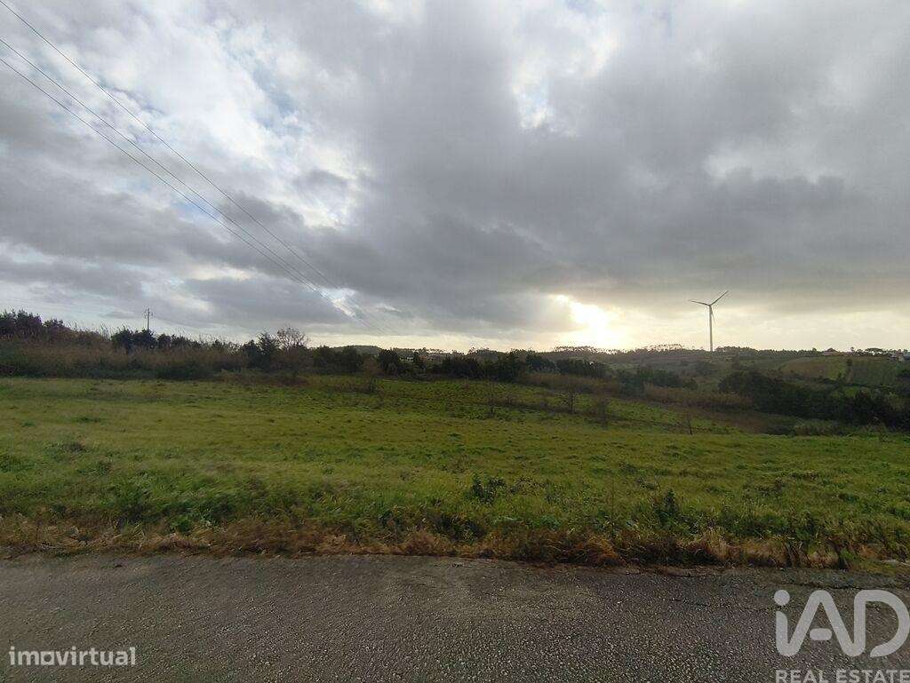 Terreno Agrícola em Cela - Grande imagem: 5/9