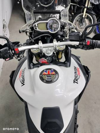 Triumph Tiger - 13