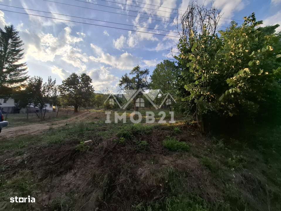 Teren spectaculos cu padure, livada si priveliste panoramica in Soimar-8