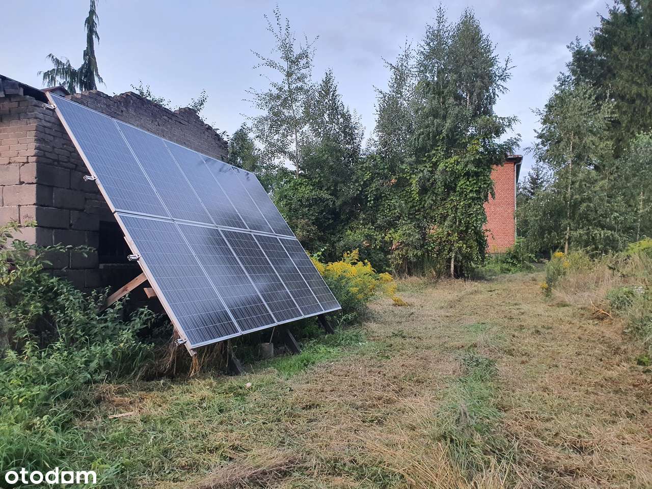 Dom  do remontu 160 m², działka 1500 m², Kowala Kolonia - Pełny obrazek: 4/15