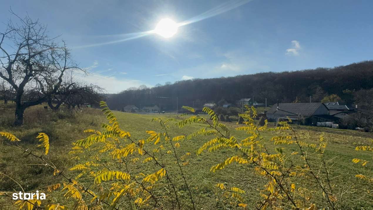 Vanzare  1400mp teren imprejmuit 2 loturi pt casa Adancata - sub padur-17