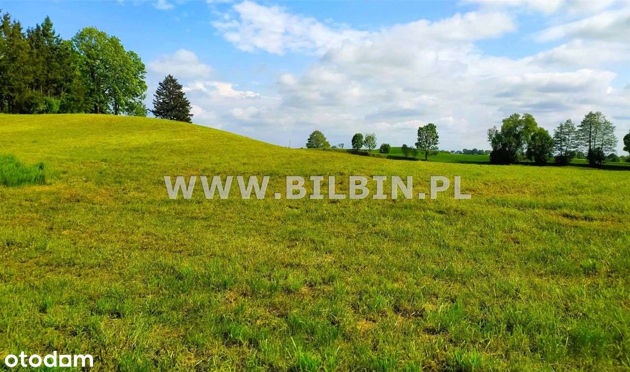 Działka pod budowe domu - blisko jeziora ! - Pełny obrazek: 5/11