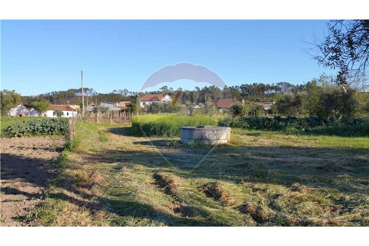 Terreno Rústico com 1740m2, 8Km de Condeixa-a-Nova - Grande imagem: 3/4