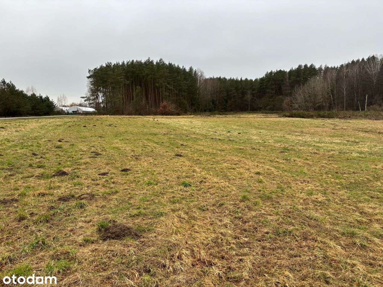 Działki budowlane blisko Słupska - Pełny obrazek: 5/6