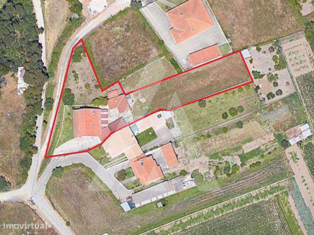 Moradia T3 isolada em Cacia implantada num lote com 1800m2 - Grande imagem: 5/42