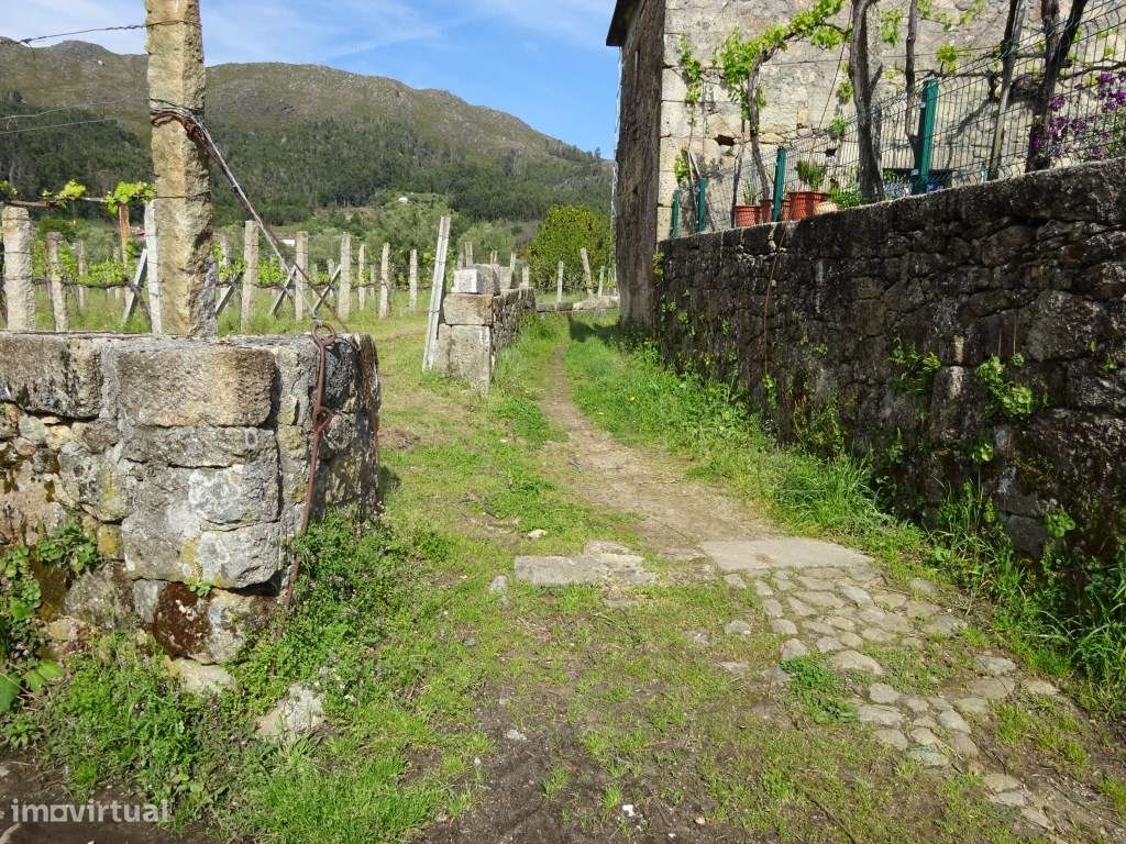 Terreno agrícola na Cabração- Ponte de Lima - Grande imagem: 5/5