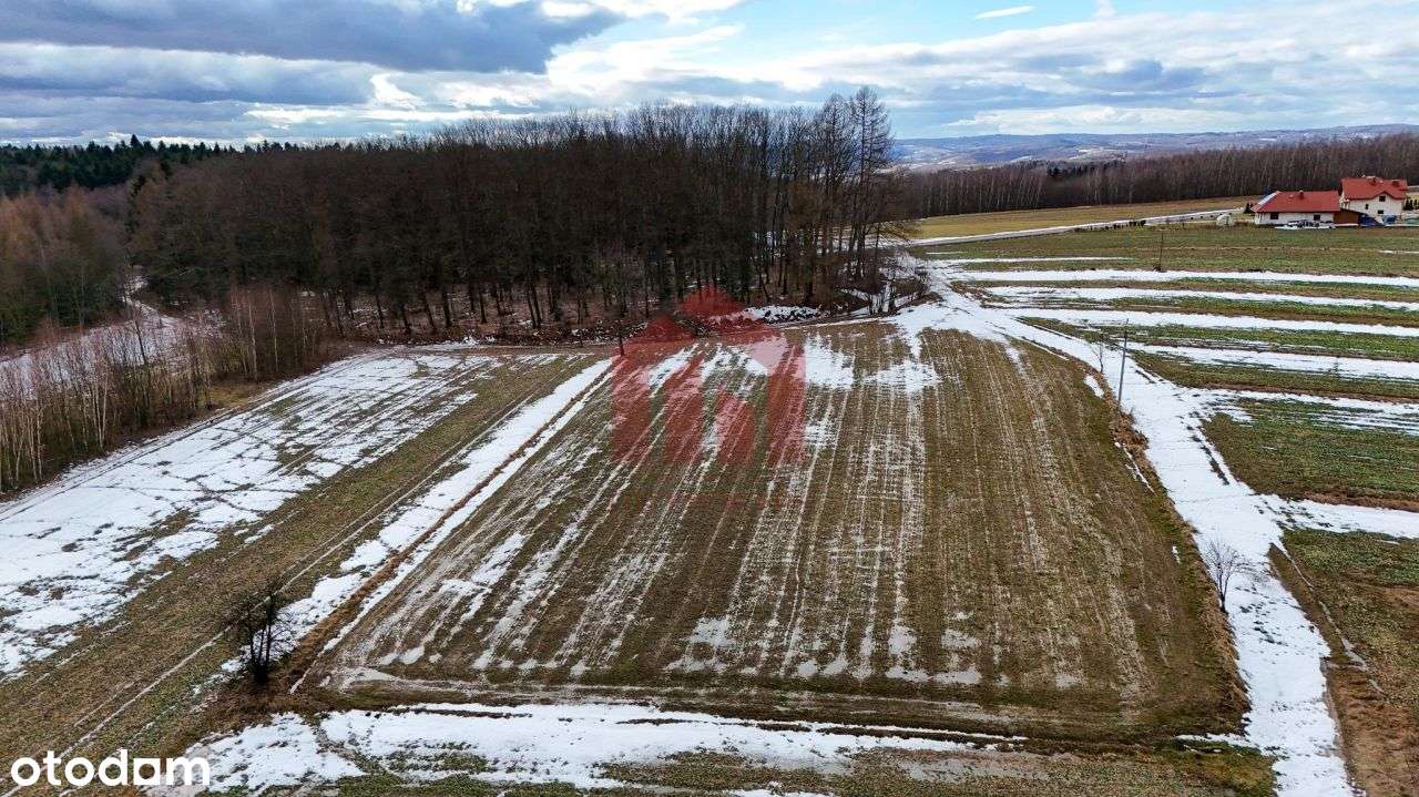 Ropczyce Tylko 4 Takie działki ul.Leśna-5