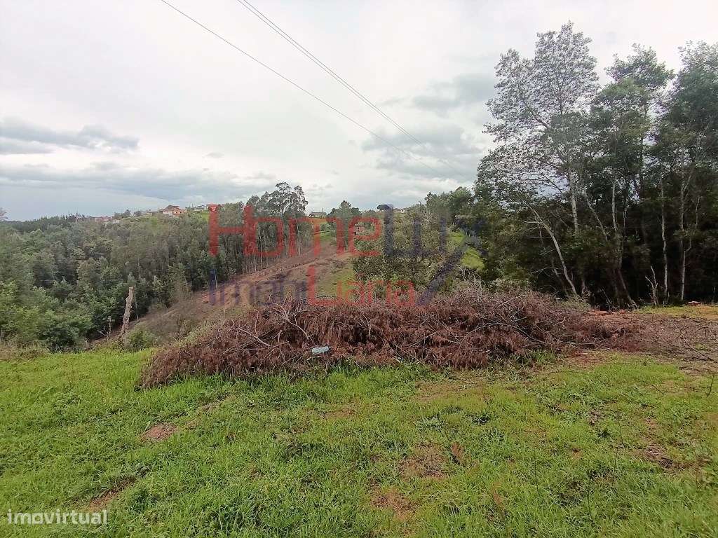 TERRENO CONSTRUÇÃO| ATÉ 4 MORADIAS - Grande imagem: 4/16