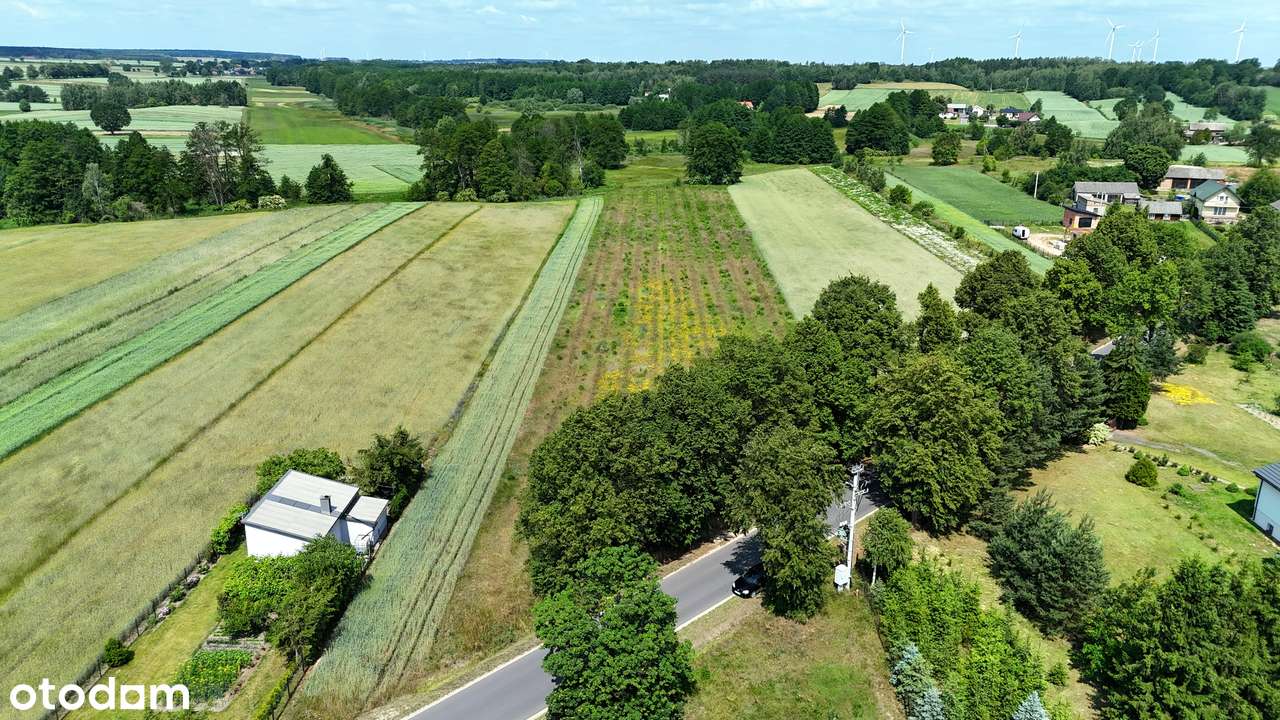 Działka inwestycyjna | blisko S8 i DK72 | przy drodze | MPZP - Pełny obrazek: 4/14