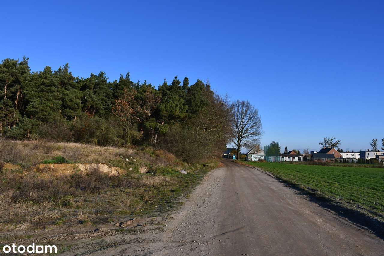 Narożnikowa działka pod lasem, ogród od południa - Pełny obrazek: 4/7