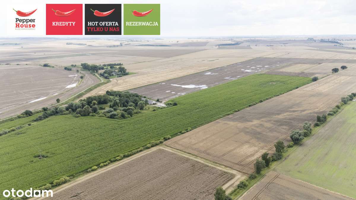 Działki Rolne!! Wielkie Walichnowy! - Pełny obrazek: 5/16