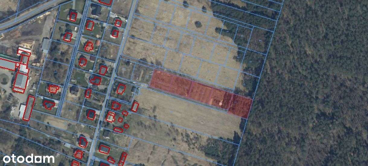 Malownicze działki na skraju lasu 11-13 ar - Pełny obrazek: 5/5