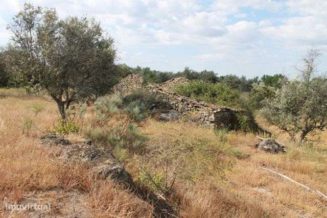 Quinta - Grande imagem: 2/11