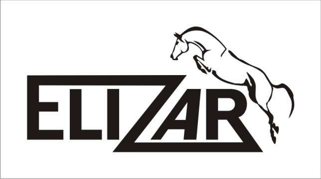 ELIZAR - NAJLEPSZE SAMOCHODY - Z GWARANCJĄ JAKOŚCI I PRZEBIEGU - logo