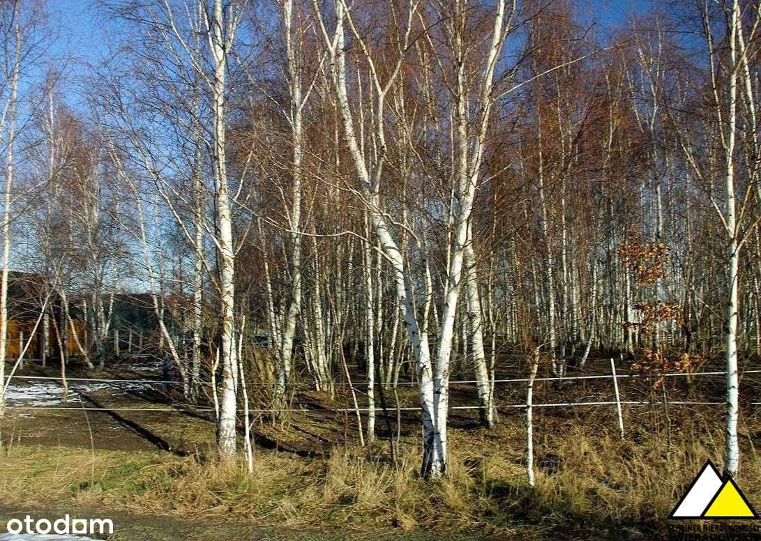 Działka z widokiem na góry-9