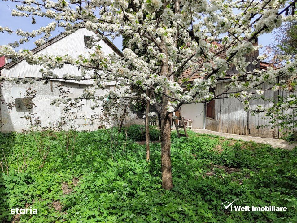 Casa la calcan renovabila/demolabila, Gheorgheni