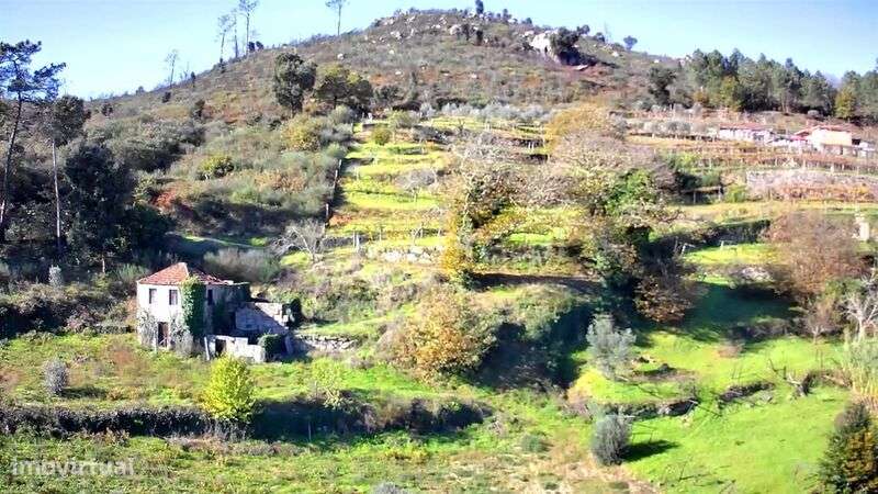 Quintinha / Baião, Loivos da Ribeira e Tresouras - Grande imagem: 5/8