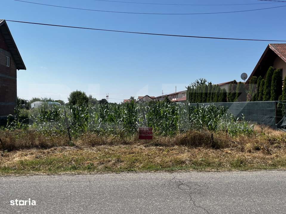 Teren extravilan de vanzare, 1267 mp, zona Draexlmaier - Imagine principală: 2/3