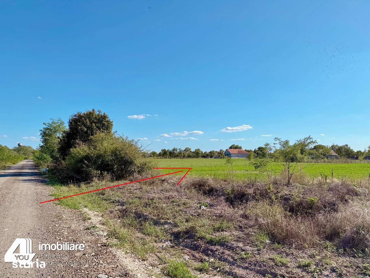 Terenuri intravilane 2880 mp Cermei fs.48 ml - 6350 euro - Imagine principală: 5/5