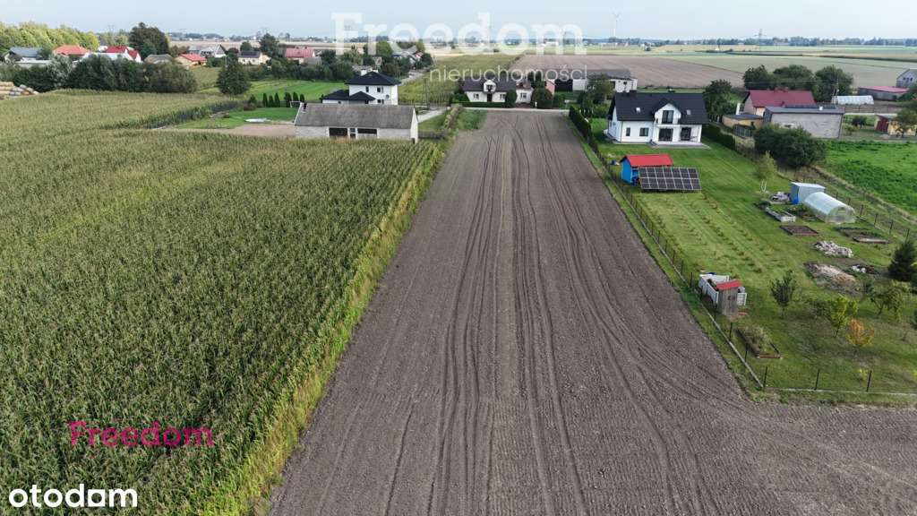Duża działka blisko Płocka - Pełny obrazek: 4/8