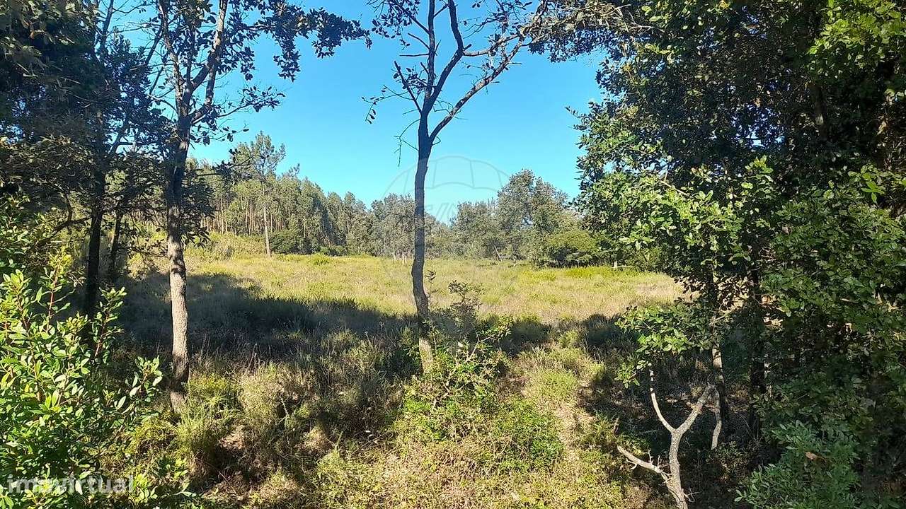 Terreno  para venda - Grande imagem: 4/6