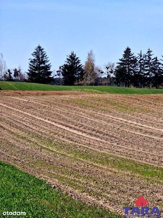 Grunt w Załachowie-9