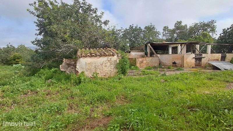 Quintinha com casa em ruínas para reconstrução – Quelfes, Olhão - Grande imagem: 4/11