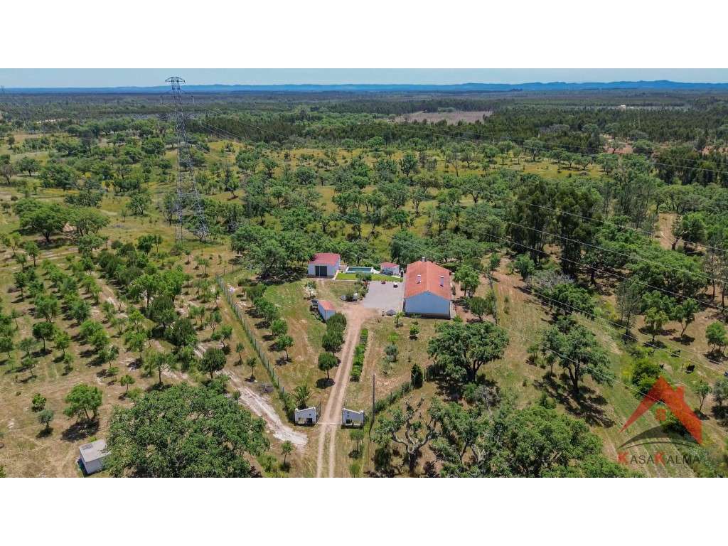 Herdade do Barranco-13