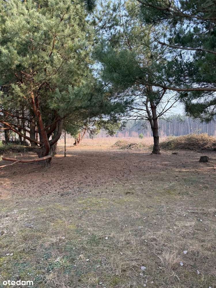 Działka pod dom, Wz, Miąse - Pełny obrazek: 3/3