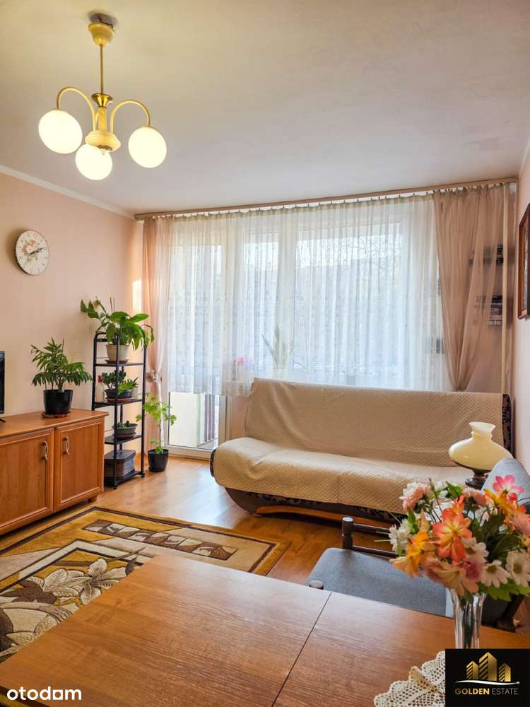 Idealne pod inwestycję - 33 m² na Północy-3