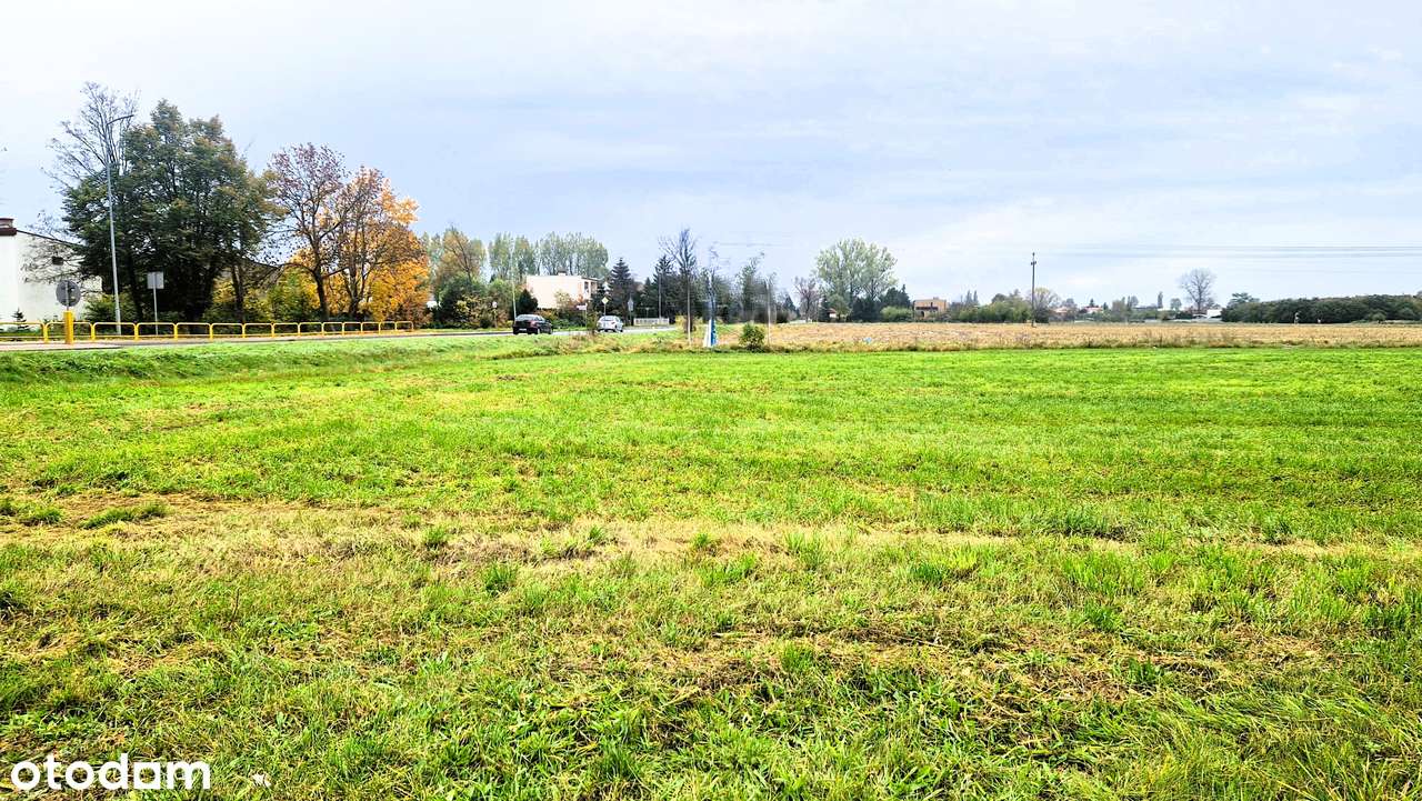 Działka inwestycyjna 8134 m² produkcja, usługi, magazyny, handel-2