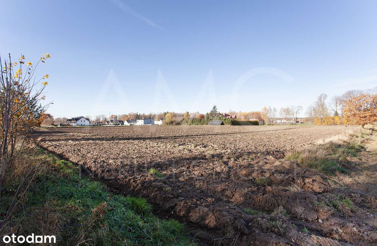 Działka 3022 m² | Leźno | Spokojna okolica - Pełny obrazek: 5/9