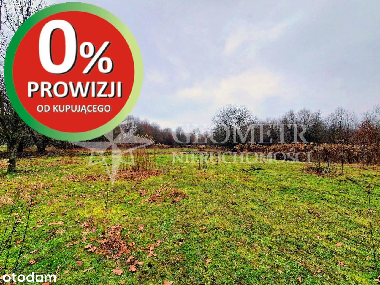 Działka, 25000.0 m², Rajszew