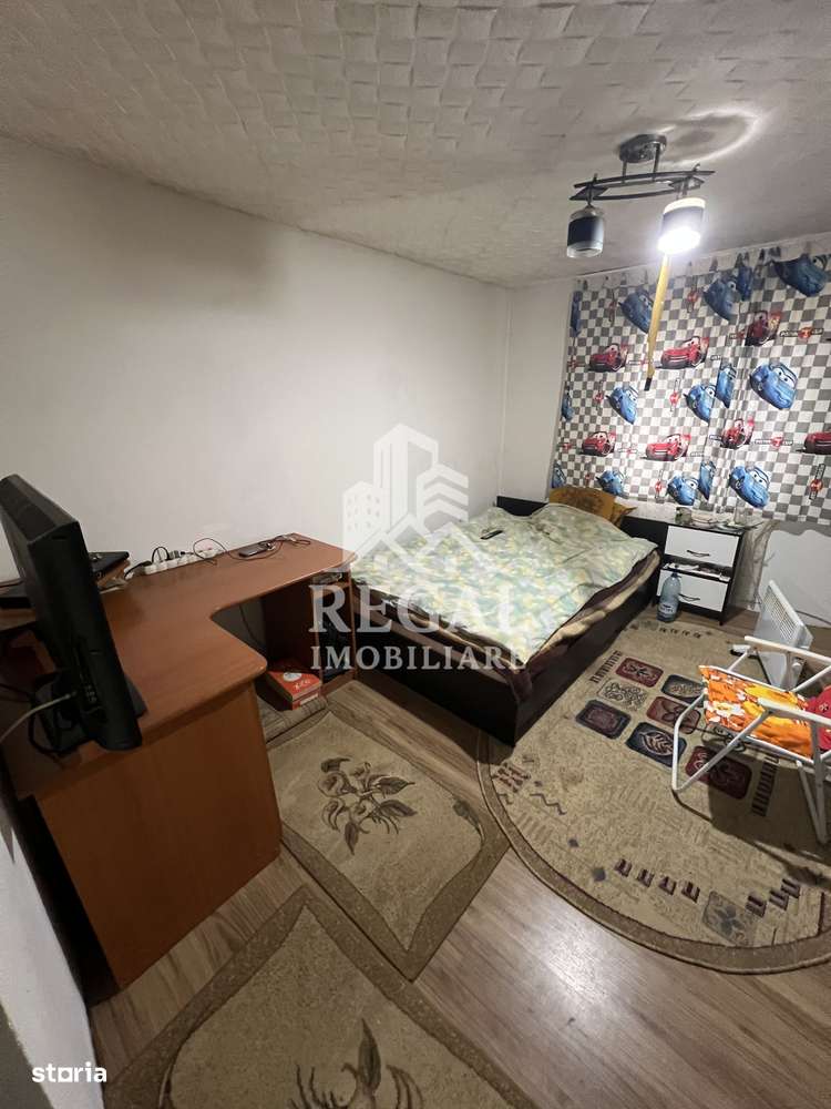 Două case individuale de vânzare în Teliuc –ideale pentru două familii-9