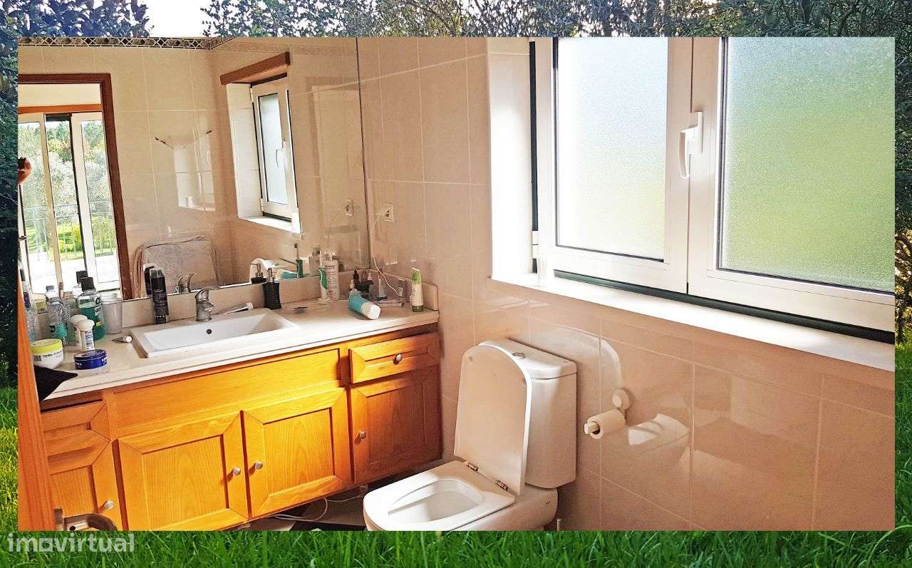 Quintinha com Mata secular-31