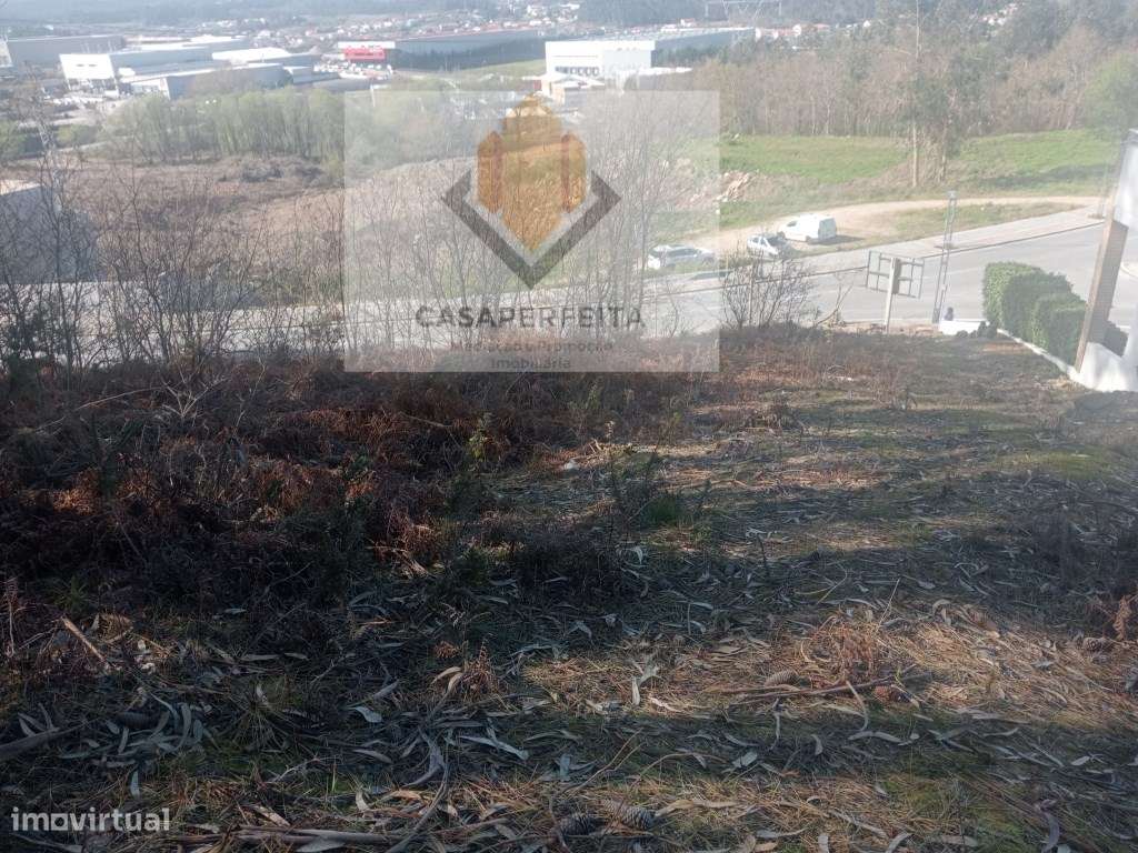 Terreno Rústico com 5137 m2 - Freamunde - Grande imagem: 4/12