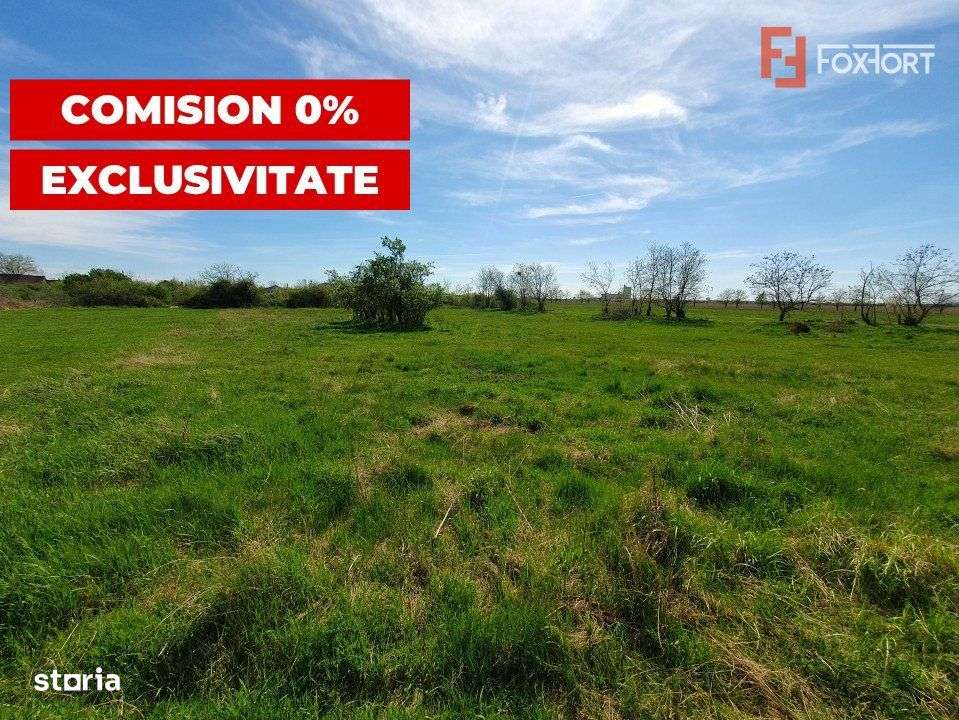Comision 0% Teren intravilan 3000 mp in Padureni Jebel - Imagine principală: 4/8