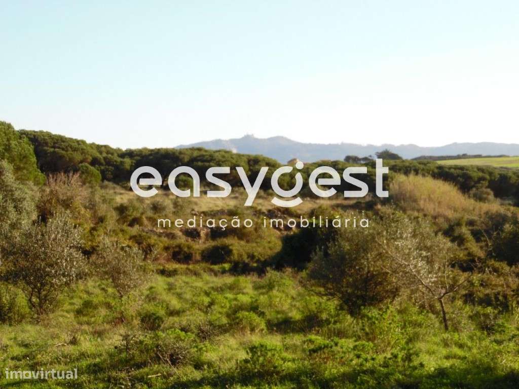 Terreno rústico com 2360m2 em Sintra com furo - Parasousa - Grande imagem: 2/2