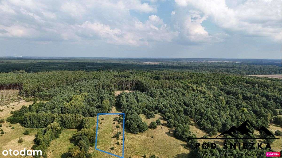 Dom z zabudowaniami- grunty 7300m2- inwestycyjne!-6