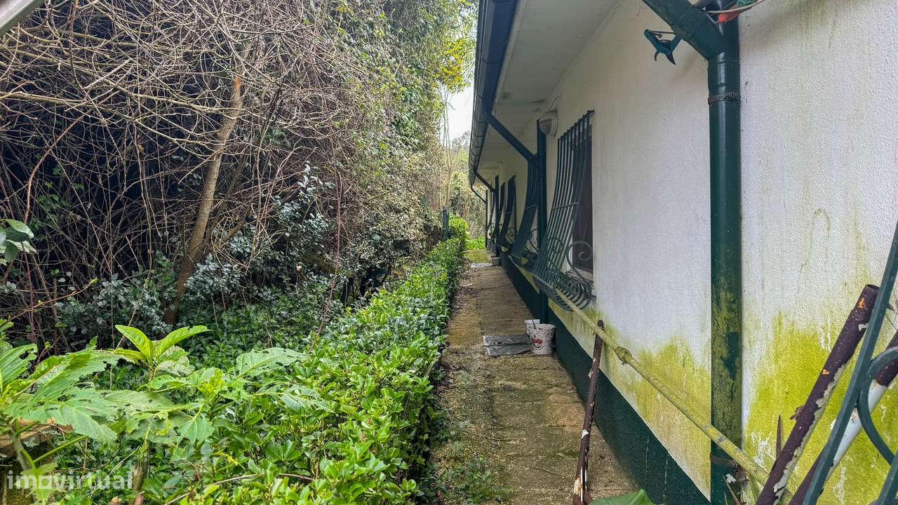 Quinta em Grijó com Piscina e Potencial para Alojamento Rural - Grande imagem: 5/12