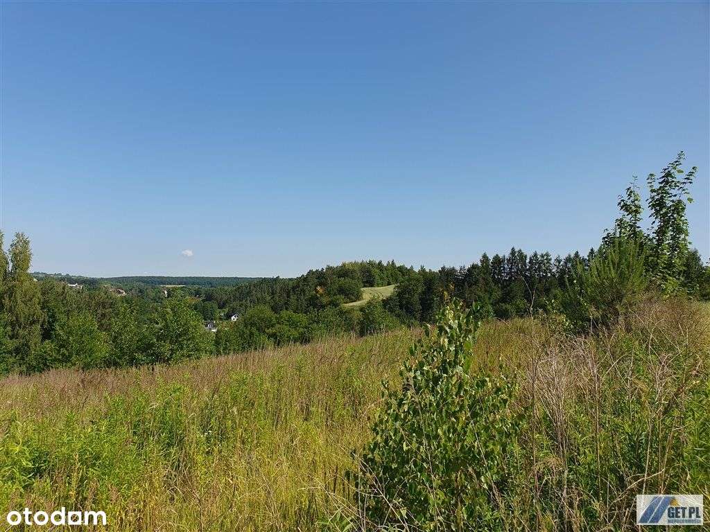Widokowa działka 2,3ha, na wzgórzu, Michałowice - Pełny obrazek: 4/18