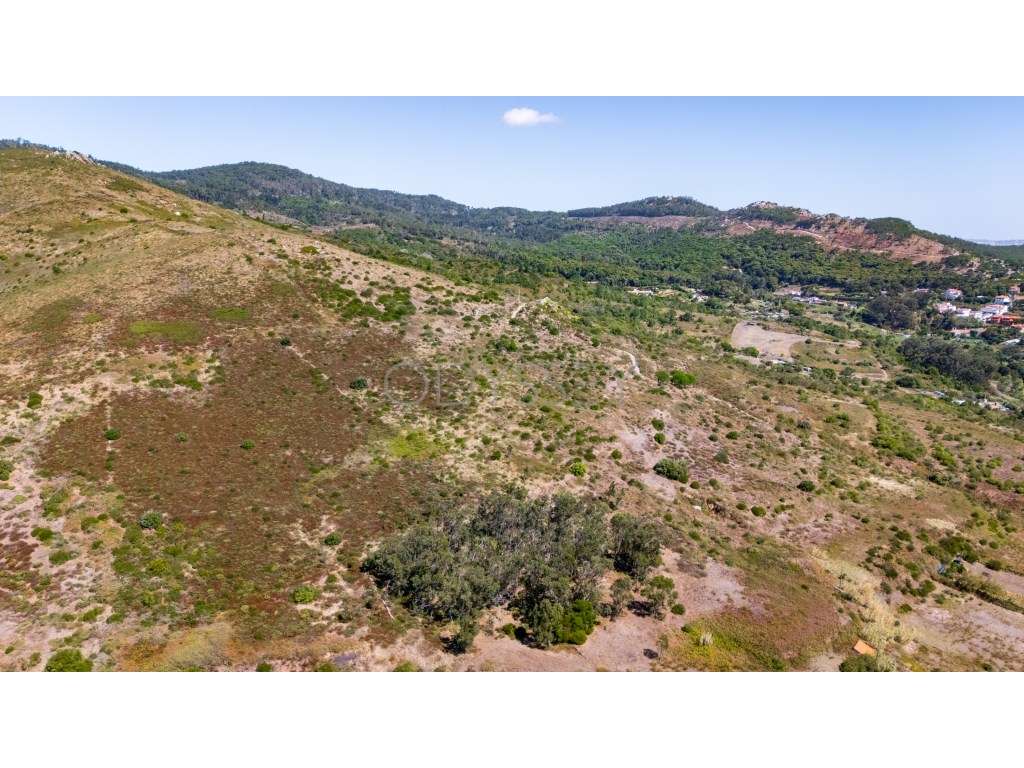 Terreno Rústico à Venda - Fontainhas, Alcabideche (Cascais)-21